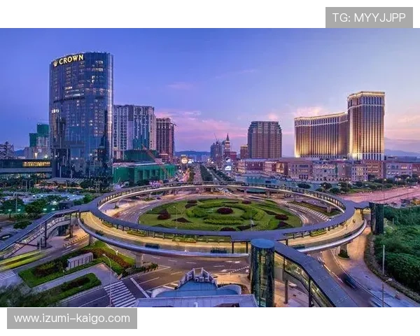 澳门博彩股份有限公司在行业中的地位与竞争优势深度分析